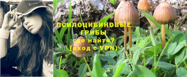 а пвп мука Алексеевка