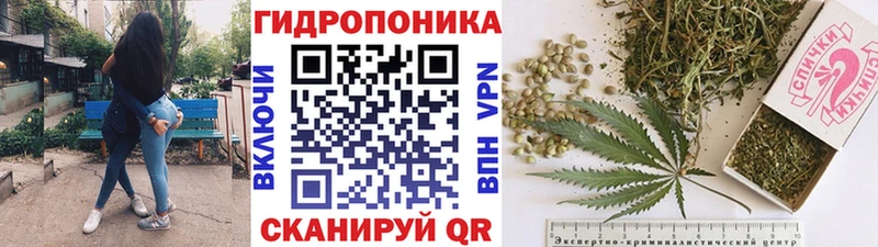 Конопля индика  продажа наркотиков  сайты даркнета телеграм  Ахтырский 